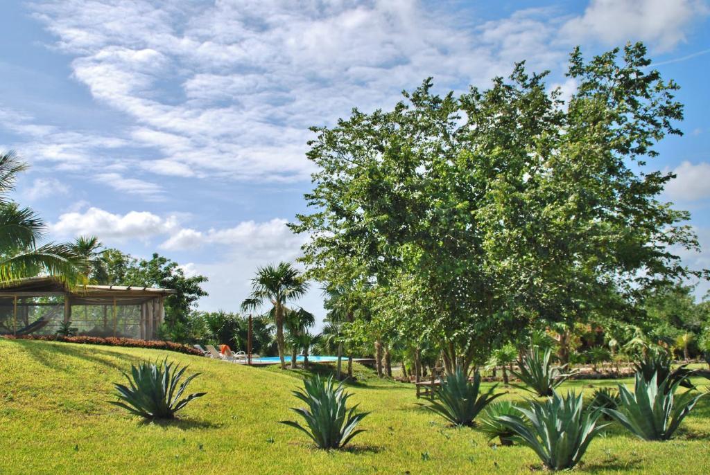 Hotel El Chital Raudales 외부 사진